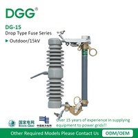 DGG Fournisseur de fusibles à coupure et à éjection en caoutchouc silicone durable pour projets d'énergie renouvelable, solaire et éoliens