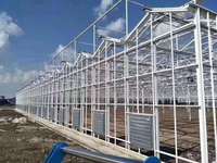 Installations agricoles hydroponiques à grande portée, économiques et personnalisées, recouvertes de film, pour tomates et concombres, entièrement automatisées, ZHUOTAI