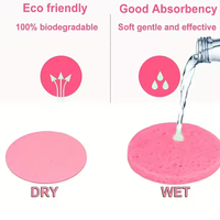 Éponge de maquillage en pulpe de bois compressée écologique de haute qualité, blanche, pour le bain et la douche, éponge nettoyante pour le visage