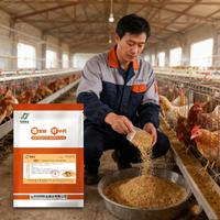 Aliment de qualité supérieure LIBON, prémélange pour poules pondeuses, aliment pour la croissance des volailles, améliorant la santé intestinale, améliorant la qualité des œufs, poulet