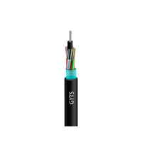 Cable de Fibra Óptica GYTS de 12, 24, 48, 96 Núcleos, G652D, Monomodo, Blindado con Acero Corrugado, para Proyectos FTTH