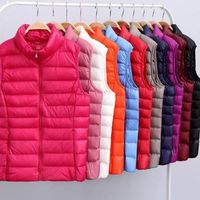 Nouvelle veste matelassée légère coupe-vent à capuche pour femme, grande taille, fine, chaude, pour l'automne/hiver