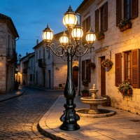 Colonne lumineuse LED extérieure personnalisée en usine, grand modèle, style paysage européen, en aluminium, étanche IP65, alimentée en courant alternatif