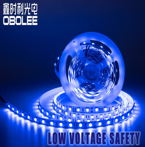 Dimmable SMD 5050 LED Strip Light 60LEDs/m 12V/24V Single Row 3000K-6000K Adjustable Brightness Flexible Tape for Home Indoor - Product Image 2