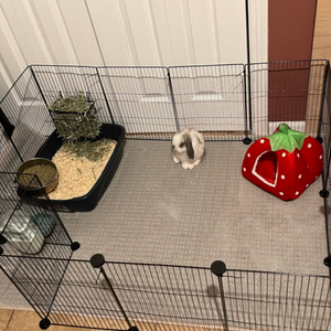 Di alta qualità su misura facilmente assemblato in metallo piccolo animale gabbia pannelli per interni - Product Image 5