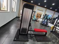 Équipement de gymnastique d'entraînement chargé par goupille de machine commerciale de Biceps Curl de haute qualité