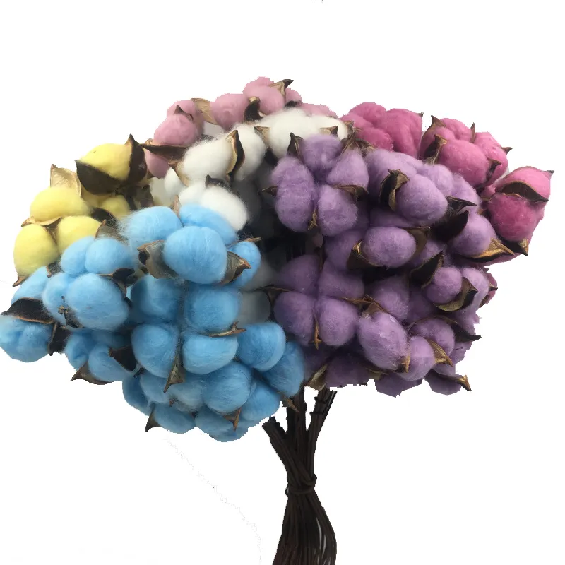 Cheap wholesale dry cotton single stem dried cotton flower as decoration flower