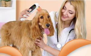 Terapi Hewan Profesional Laser Aman dengan Peralatan Fisioterapi Akupunktur Lastek Terapi Laser Hewan Kecil Portabel - Product Image 6