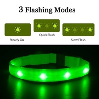 Collier lumineux LED pour animaux de compagnie, collier lumineux clignotant pour chat