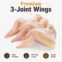 Ailes de poulet entières congelées en vrac, halal, IQF, drumette à pointe plate pour barbecue, restaurant, exportation de volailles de qualité supérieure