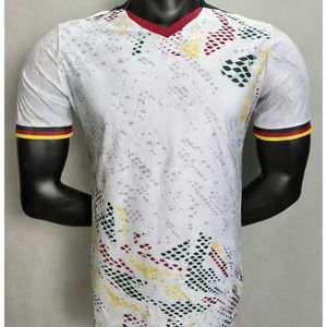 Groothandel op maat gemaakte Cameroense nationale teamtenue 2627 - Onverwoestbare Leeuwen thuis- en uittenue - Product Image 1