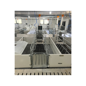 Farrowing Crate Pig Fast Delivery Hot Dipped Galvanized <b>Animal</b> <b>Husbandry</b> Pig Farming <b>Equipment</b> Vietnam Manufacturer - Product Image 4