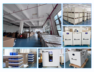 4nrgy <span class=keywords><strong>Pl</strong></span>- 51.2v 16kwh con Inversor Integrado de 10kw Trifásico 230v/380v Todo en Uno + Balanceador Activo de 5A + Wifi + DDP - Product Image 6