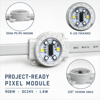 Lumières à pixels RGBW DC24V 32 mm personnalisées, étanches, pour l'éclairage de façade de bâtiment d'hôtel