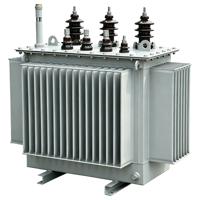 10KV 11KV 50 KVA 100 KVA 200 KVA Orta Gerilim Yüksek Gerilim Yağlı Tip Dağıtım Trafosu Akıllı Enerji Dağıtımı için