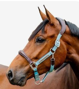 Soft Padded Horse Halter For Enhanced Comfort During Riding Training And Transportation Activities - Product Image 1