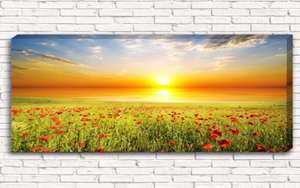 Quadro Unico e Semplice con Stampa su Tela Argento Effetto Pietra, con Cornice Interna - Product Image 6