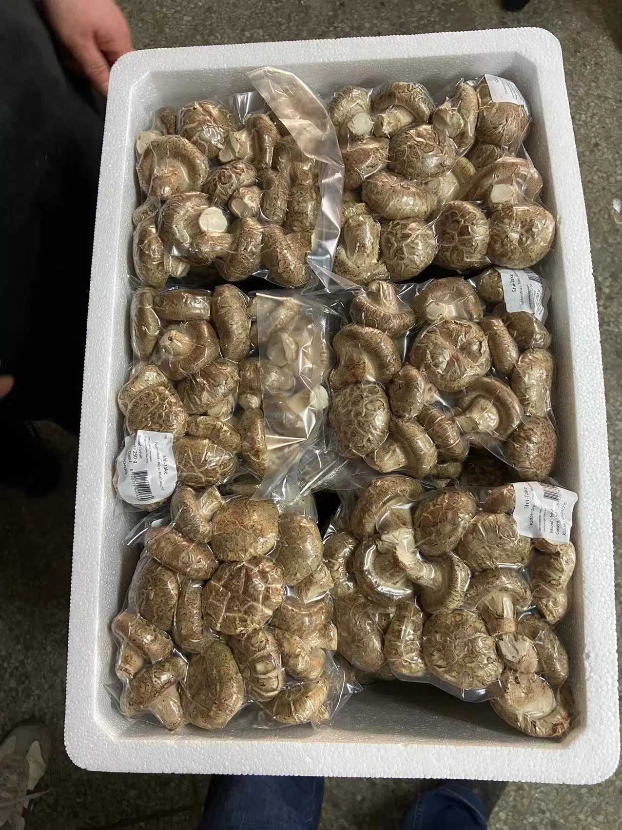 Setas shiitake envasadas al vacío con una vida útil muy larga