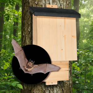 Boîte à chauves-souris en bois imperméable, habitat sûr pour les chauves-souris - Product Image 5