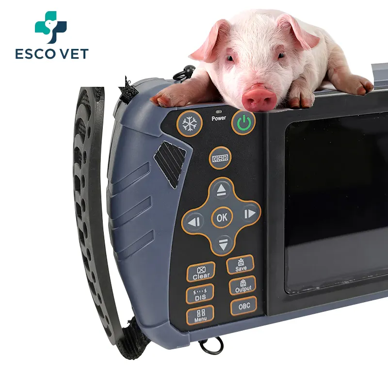 Grosir babi kehamilan pemindai Ultrasound manufaktur Swine kehamilan mesin Ultrasound untuk penggunaan babi Swine