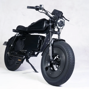 Vélo Électrique Hybride Gros Pneus 20 Pouces 48V 60Ah, Moteur 1500W, Cadre en Acier Type Moto Cross, Longue Autonomie, Batterie Lithium 60Ah, Alliage d'Aluminium - Product Image 2