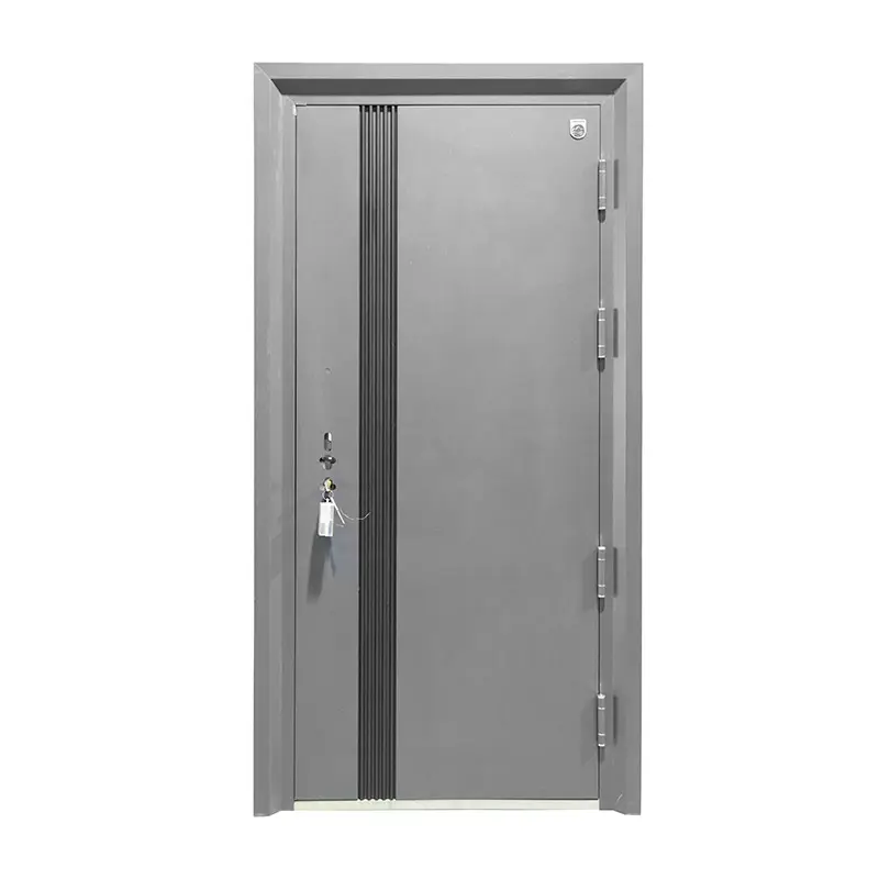 Porte d'ingresso in metallo Exerior con ingresso in ferro personalizzabile per case