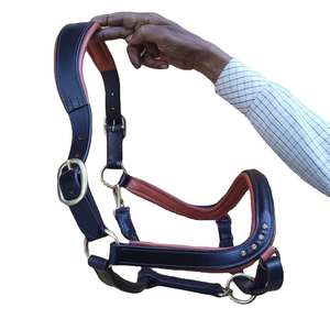 Haute qualité - Licol pour cheval en cuir de vache - Licol pour cheval fait main en laiton massif avec finition nickelée - Product Image 3