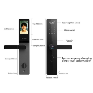 ตัวล็อกประตูอัจฉริยะทำจากอลูมิเนียมกึ่งอัตโนมัติ F10ระบบคลาวด์แอปควบคุมโดยโปรเฟส/ลายนิ้วมือ/รหัส/การ์ดปลดล็อค Wi-Fi ที่เปิดใช้งาน Tuya/TT - Product Image 5