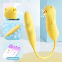 2026 Trendiger Smart-App-gesteuerter Vibrator für Frauen – Dual-Action-Sonic-Puls-Sauger für Erwachsene – Wasserdichter Massager