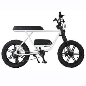 Vélo électrique puissant de 1000W, moteur de haute qualité - Product Image 4