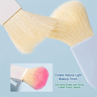 Set di 6 Pennelli da Trucco Mini Portatili da Viaggio per Principianti, Pennelli per Cipria, Contorno, Ombretto, Correttore e Illuminante con Scatola
