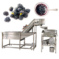 Automatische Industriële Vruchtensap Extractor Concentraat Machine Pulp Fruit Mango Sap Verwerkingsfabriek Te Koop