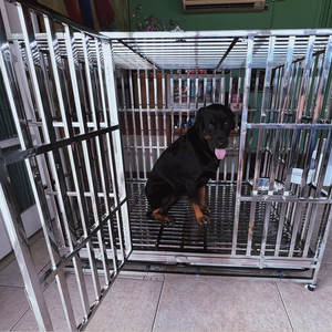 กรงสุนัขโลหะขนาดใหญ่,กรงสุนัขขนาดใหญ่พับได้แข็งแรงสแตนเลสสินค้าขายดี - Product Image 6