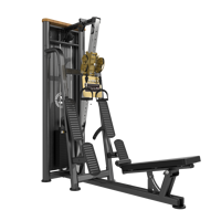 LAND Mehrfach verstellbares Edelstahl-Kabelzuggerät, Multi-Winkel-Latzugtrainer, Dual-Pulley, faltbar für Rückenübungen