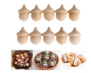 <span class=keywords><strong>2023</strong></span> nouveau Design inachevé en bois naturel décor gland bois gland pour artisanat d'art - Product Image 5