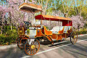 Charrette de princesse électrique pour visites touristiques, chariot de conte de fées Cendrillon pour mariages en plein air, festivals et défilés - Product Image 5