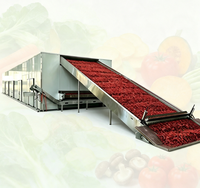 Industriële voedseldroogmachine met continu gaasband van 304 roestvrij staal voor fruit, groenten en chilipepers, PLC-gestuurd