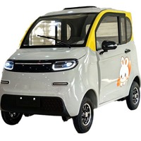 Nouveau véhicule électrique compact à quatre roues entièrement fermé pour usage domestique, véhicule de mobilité pour adultes, double carburant (essence-électrique), voiture électrique