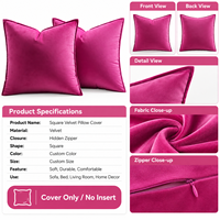 Housse de coussin carrée en velours personnalisable pour la décoration de la maison