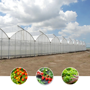 <span class=keywords><strong>Serre</strong></span> Commerciale Multi-Span en Promotion pour l'Agriculture et la Culture de Légumes <span class=keywords><strong>avec</strong></span> <span class=keywords><strong>Film</strong></span> <span class=keywords><strong>Plastique</strong></span> - Product Image 1