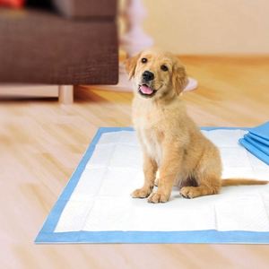 Tapis d'entraînement pour chiens écologiques en bois, taille XL, pour le marché coréen - Product Image 5