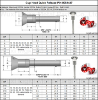 Goupille de verrouillage rapide à tête cylindrique en acier inoxydable SS304 SS316 pour outillage de fixation et de jigging, fabriquée par un fabricant vérifié