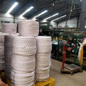 Cuerdas <span class=keywords><strong>de</strong></span> <span class=keywords><strong>Polipropileno</strong></span> Trenzadas <span class=keywords><strong>de</strong></span> <span class=keywords><strong>1</strong></span>/<span class=keywords><strong>2</strong></span> Pulgada, 12mm, 16mm, 20mm, 3/4 Hilos, para Embalaje, Danline, Pesca y Uso Marino, <span class=keywords><strong>Precio</strong></span> <span class=keywords><strong>de</strong></span> <span class=keywords><strong>Cuerda</strong></span> <span class=keywords><strong>de</strong></span> PP - Product Image 2