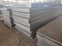 Tôle d'acier laminée à chaud, fer noir HR S235 S355 SS400 A36 A283 Q235 Q345 NM450 NM500, tôle d'acier doux résistante à l'abrasion