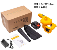 Souffleur brumisateur Micro atomiseur pistolet sans fil/sans fil ULV pulvérisateur brumisateur électrique brouillard brumisateur Machine