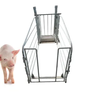 Châu Âu loại chất lượng cao Pig Farming thiết bị Đối với trang chủ sử dụng mạ kẽm