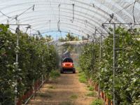 Multifunctionele elektrische robotische landbouwspuit, geschikt voor potplanten, kwekerijen, kassen en zachte hellingen