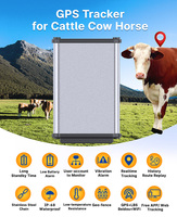 NEW Arrival Solar Powered 4G Cow GPS Tracker Sheep Animal B38 Mini Gps Tracker Convient pour le bovin Dispositif de suivi GPS
