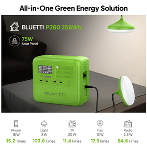 Système solaire domestique prépayé P260 avec batterie LiFePO4 256Wh, panneau solaire 75W, contrôleur MPPT, USB-C 60W max, hors réseau, Afrique - Product Image 4