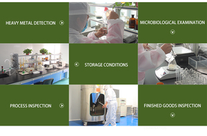 ผงเชื้อราดำแห้งป่า,ผงเห็ดหูกระต่ายโพลีทรีชา - Product Image 6